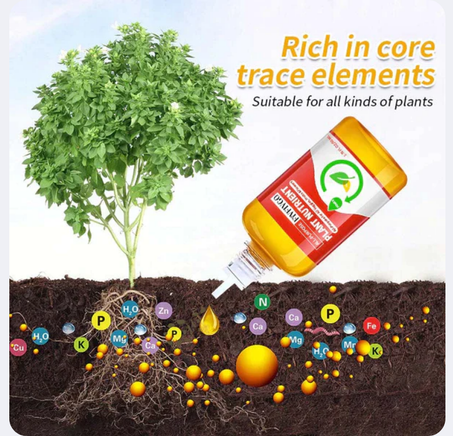 HyperGrowth-Pro Hormone de croissance végétale