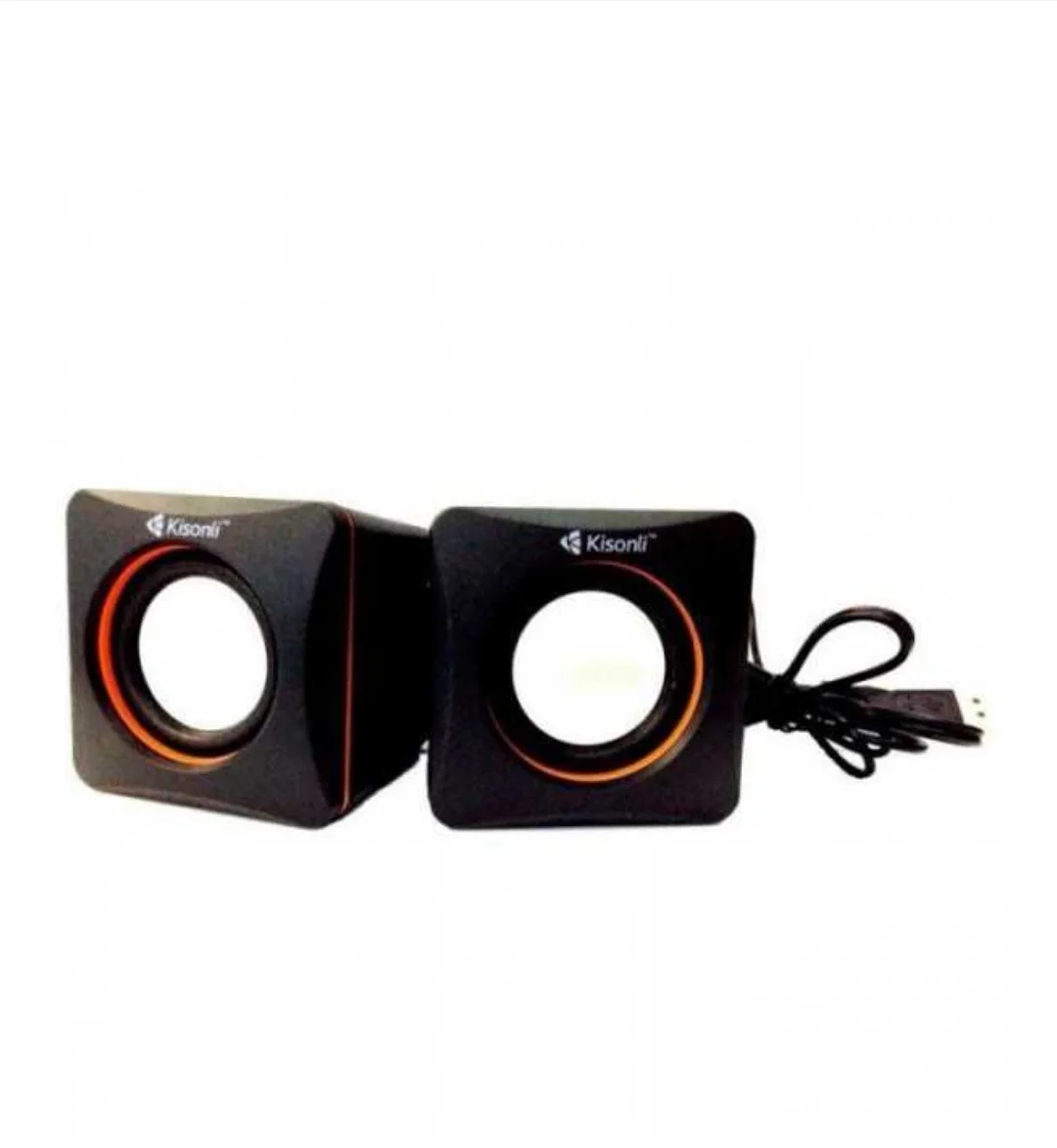 HAUT_PARLEUR_KISONLI V400