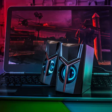 Haut parleur havit SK206