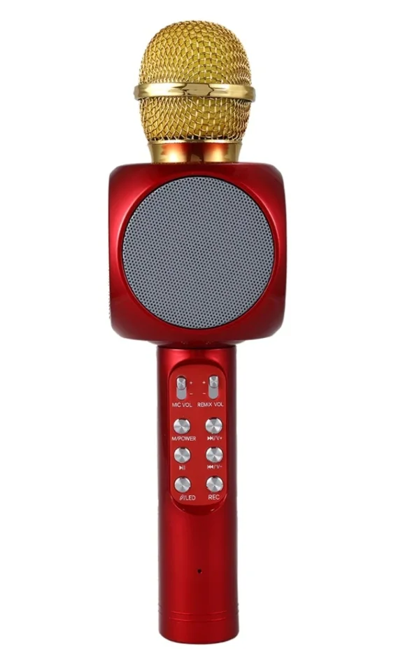 Microphone Karaoké Bluetooth WS-1816
