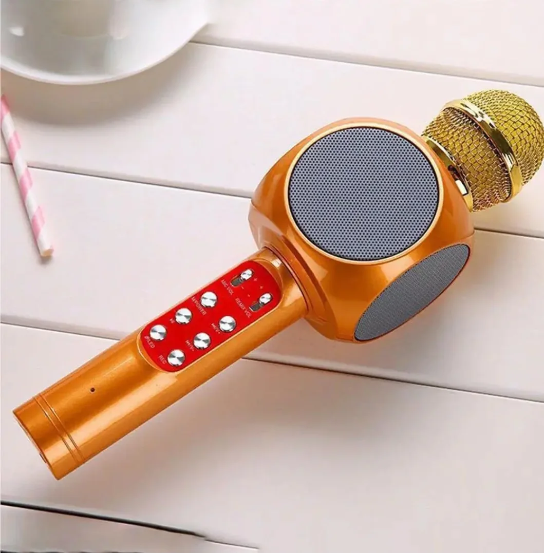 Microphone Karaoké Bluetooth WS-1816