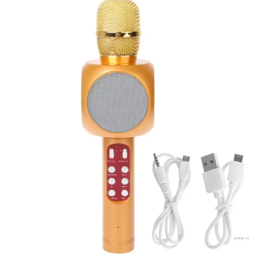 Microphone Karaoké Bluetooth WS-1816