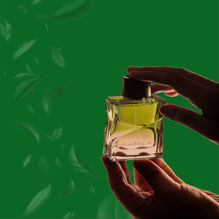 الجمال و العطور