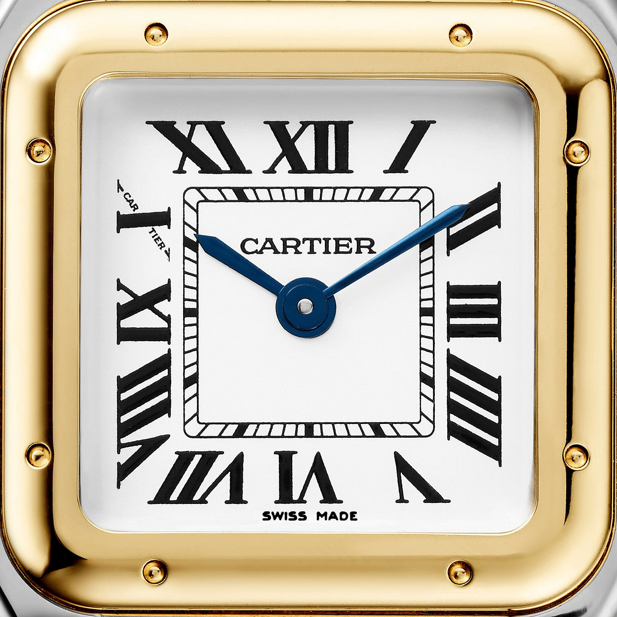 PANTHÈRE DE CARTIER - Small Steel and Yellow Gold