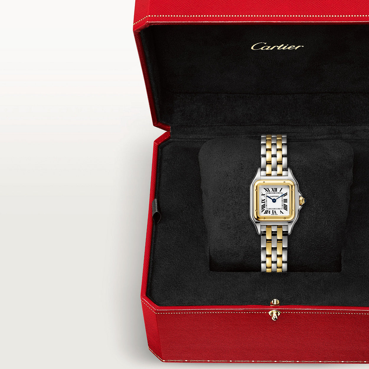 PANTHÈRE DE CARTIER - Small Steel and Yellow Gold