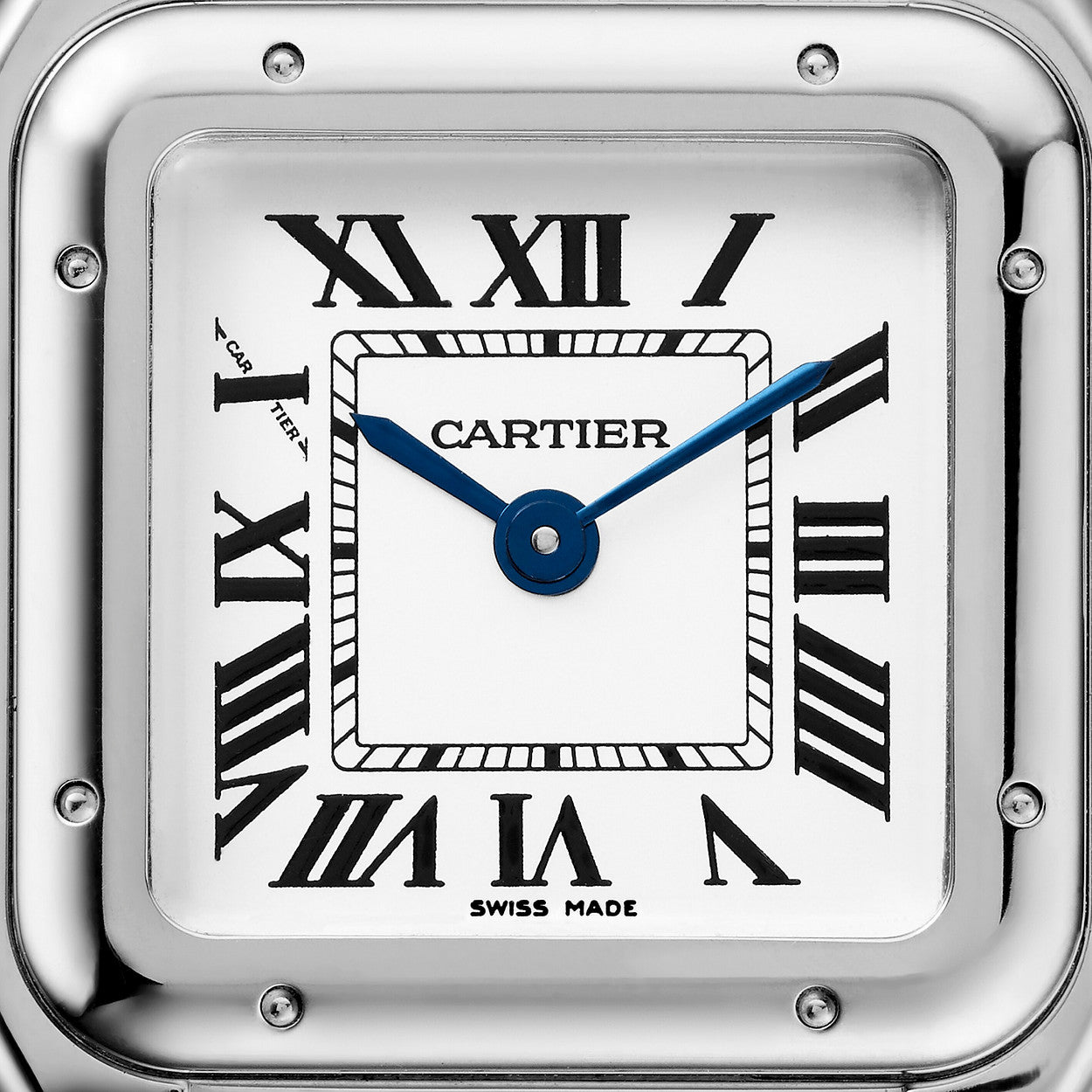 PANTHÈRE DE CARTIER - Steel Medium