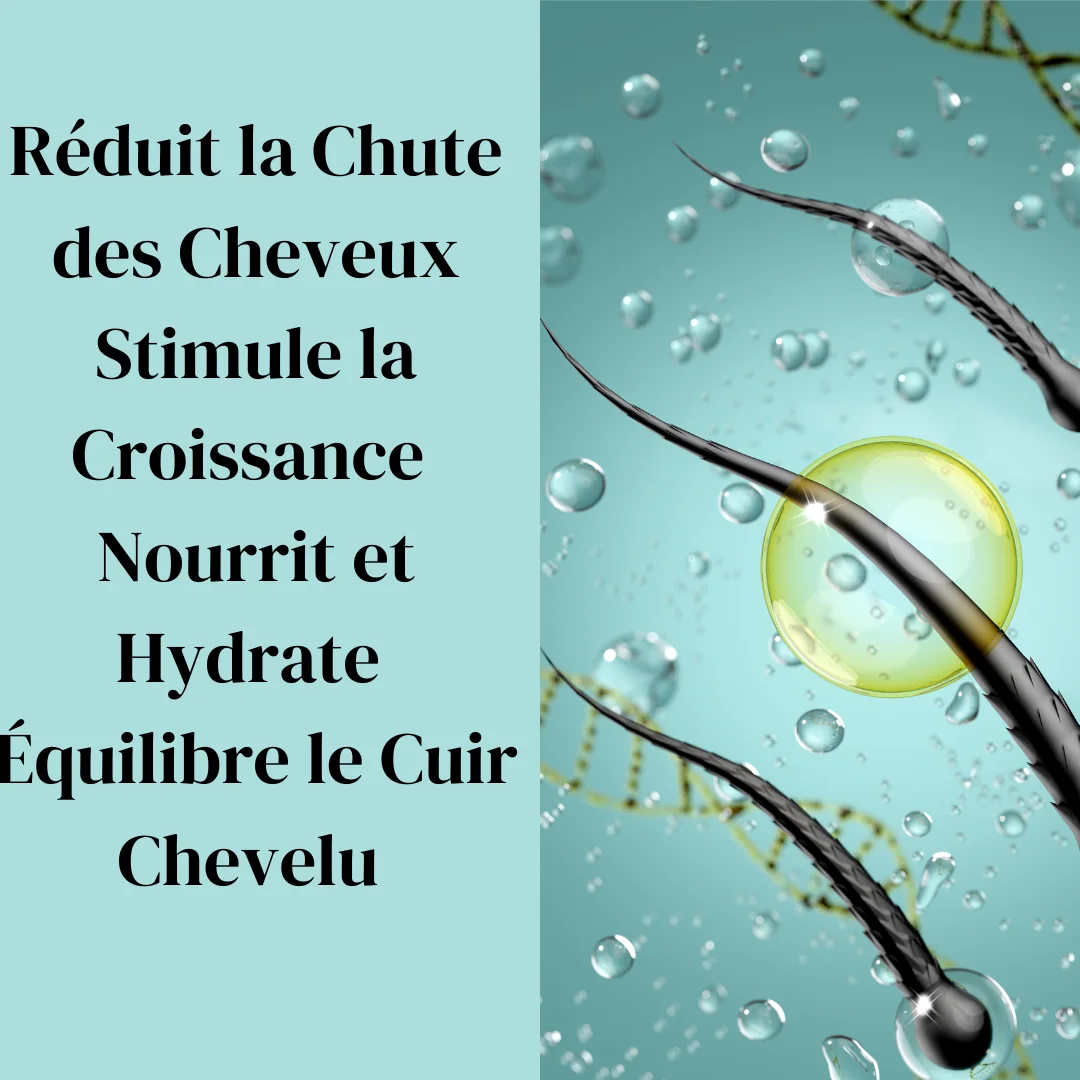Pack Anti-Chute de Cheveux - Renforce et Redensifie