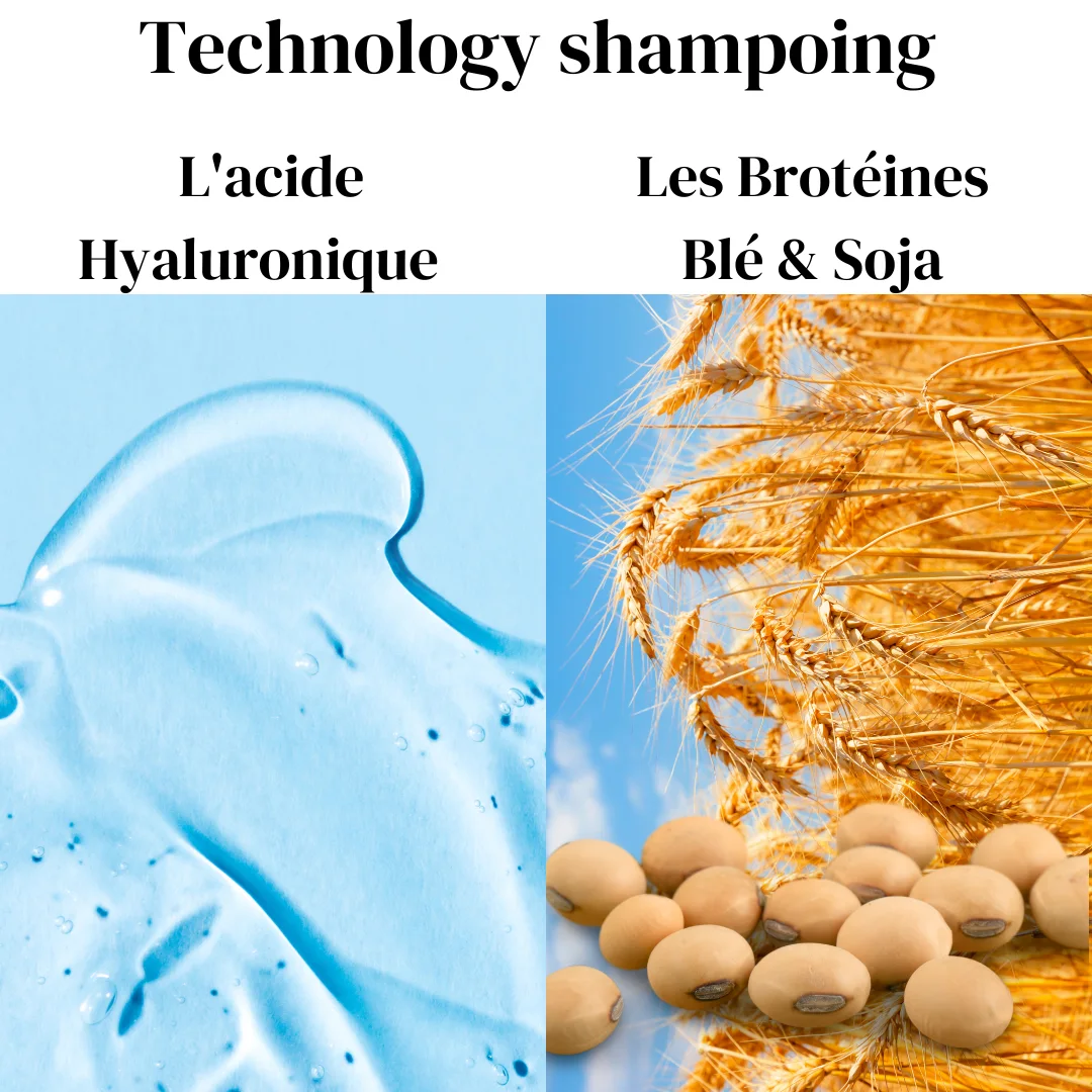 Pack Anti-Chute de Cheveux - Renforce et Redensifie