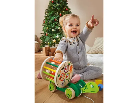 Tortue à tirer - Nachzieh-Schildkröte