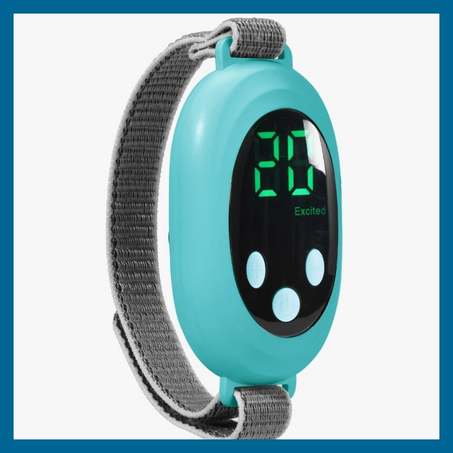 المنتج الأول