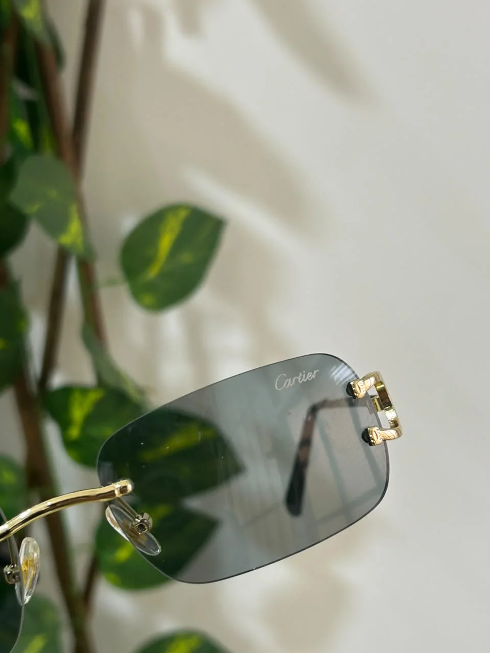 lunette cartier