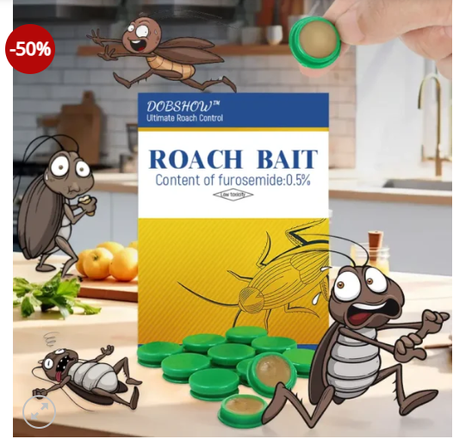 Dites adieu aux cafards à Kinshasa en quelques jours avec SnapCatch™ !