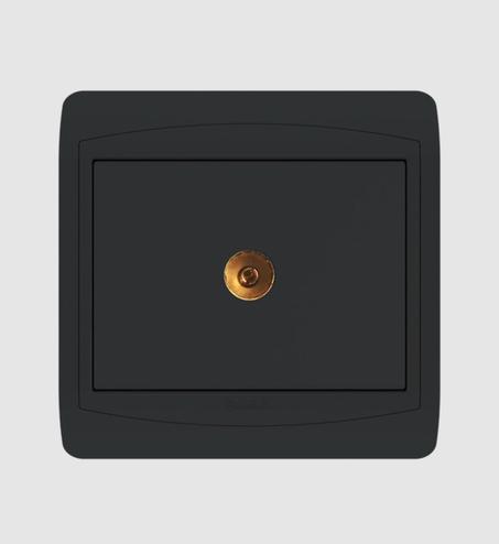 Prise de Télévision