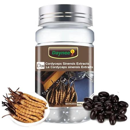 🌿 Cordyceps Sinensis Daynee D09