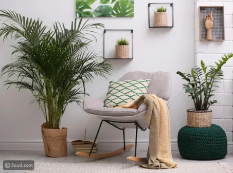 المنزل والديكور