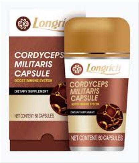 CORDYCEPS MILITARIS CAPSULE