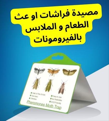 مصيدة فراشات الغذاء بالفيرومونات – حماية فعّالة وآمنة للمواد الغذائية  piège à mites alimentaires à phéromones