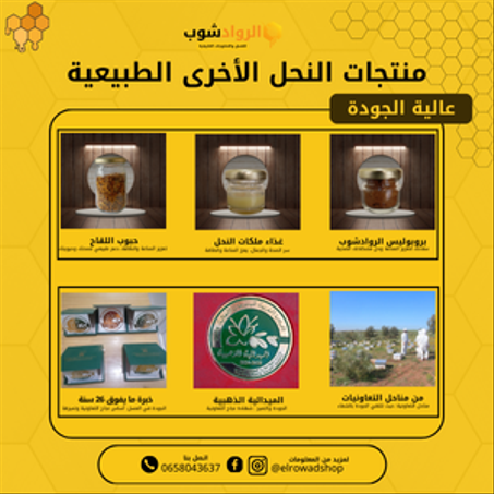 منتجات النحل