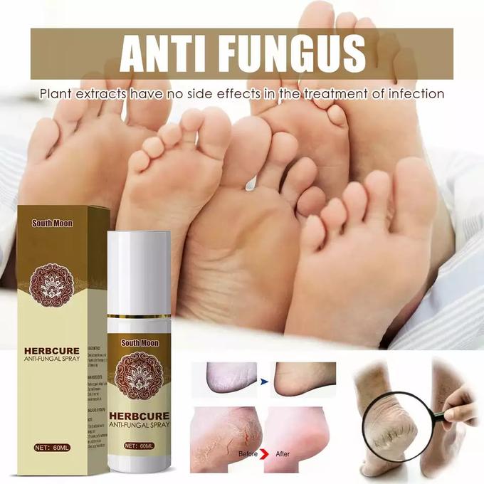 stores/3f2768c5f7558dac5ed0d92990a91b54/products/vsjS1v07PZStrBfGVybEKSscmeBIcp0Km67aAFAd.jpg
