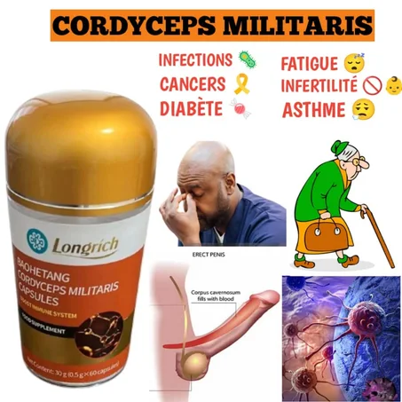CORDYCEPS MILITARIS