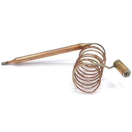 Thermostat delonghi