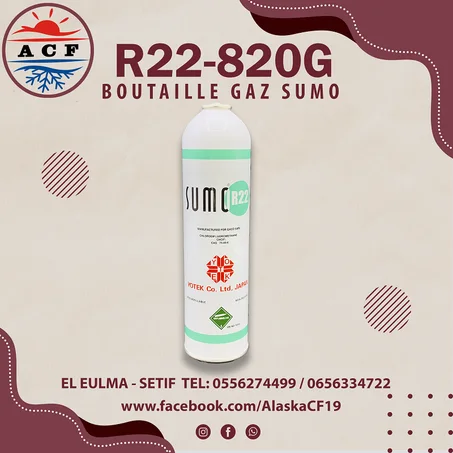 BOUTAILLE GAZ R22-820g