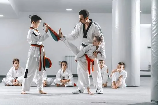 Sports de Combats