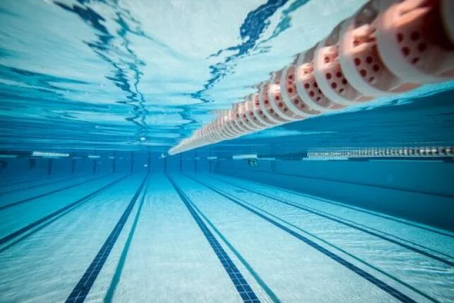 Natation