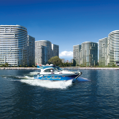 مشروع لؤلؤة البحر