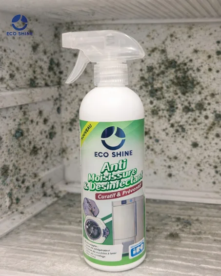 ANTI-MOISISSURE FRIGO & JOINTS 500ML