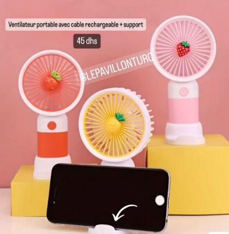 Ventilateur portable rechargeable + cable + support.