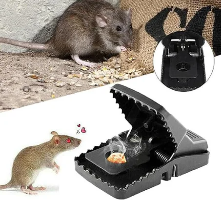 Piège à Rats - Éradication Facile et Hygiénique des Rongeurs, Sans Tracas ni Dégâts