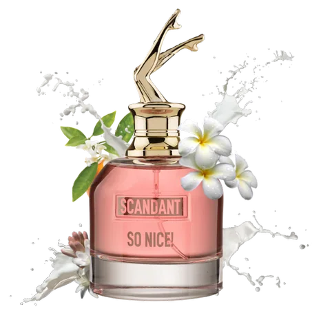 scandant so nice