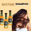 stores/405ff4e6436ecb178778e045f2071bbb/products/6IWPpD2coIJgFVEUmDYl6Pem5RPL7p08RvHY9ZY5.png