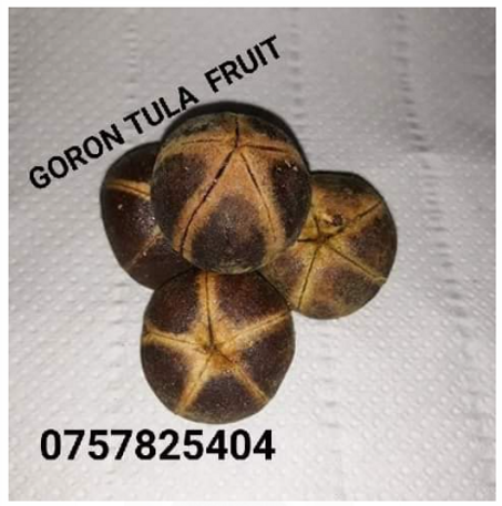 Fruit goron tula