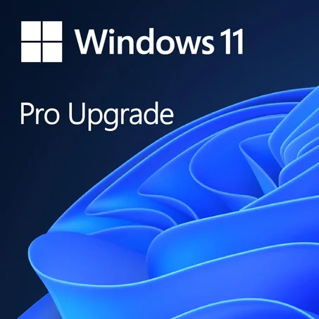 Actualización de Windows 11 Pro, desde Windows 11 Home (descarga digital)