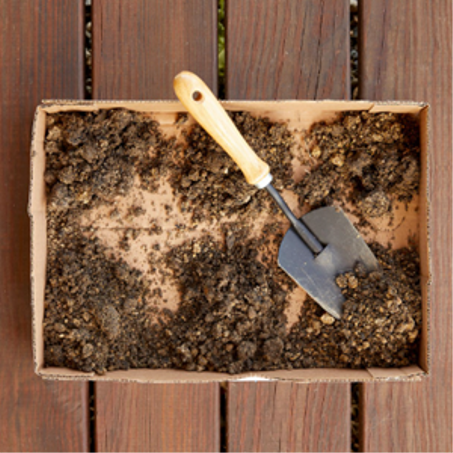 البيت والحديقة