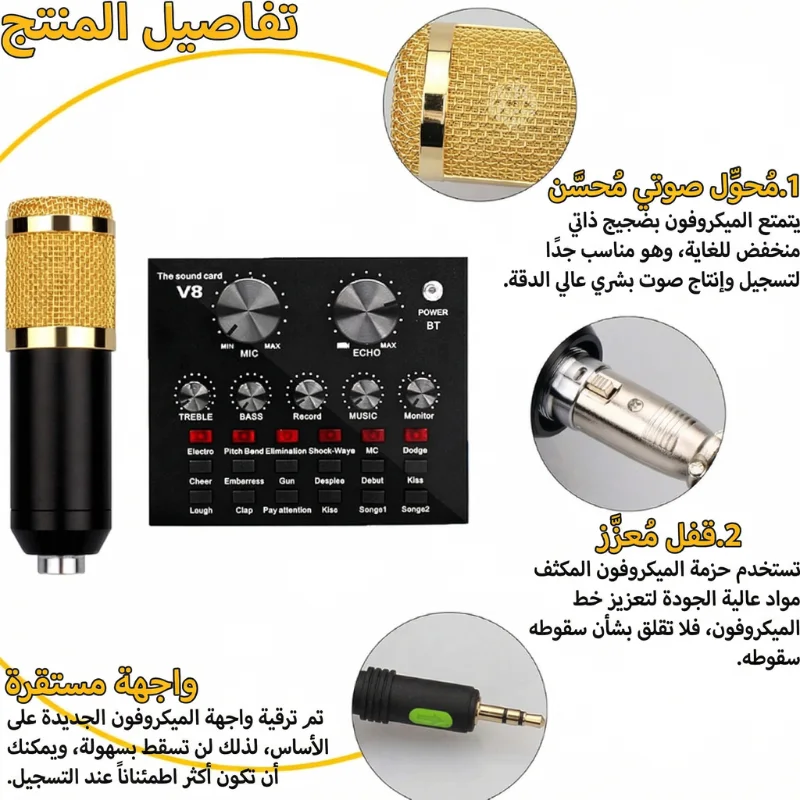 Kit Microphone Condensateur Studio BM-800 + V8