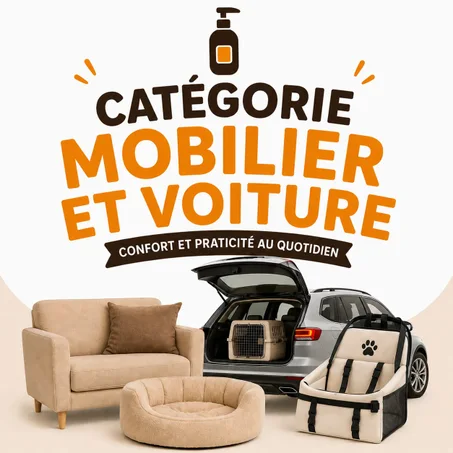 Mobilier & Voiture