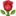 🌹