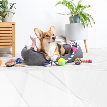 مستلزمات الحيوانات