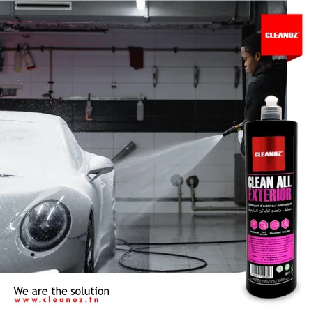 CLEAN ALL EXTERIOR