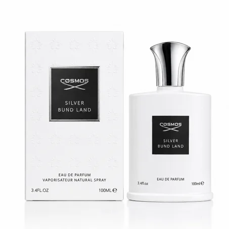 COSMOS Silver Bund Land PARFUM POUR HOMME 100 ml – أناقة تدوم طوال اليوم