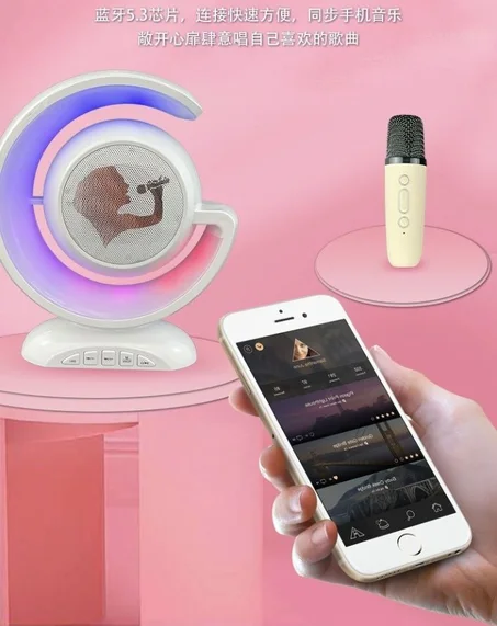 مكبر صوت قابل للشحن مع مكروفون لا سلكي