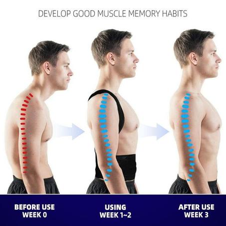 حزام الظهر الطبي