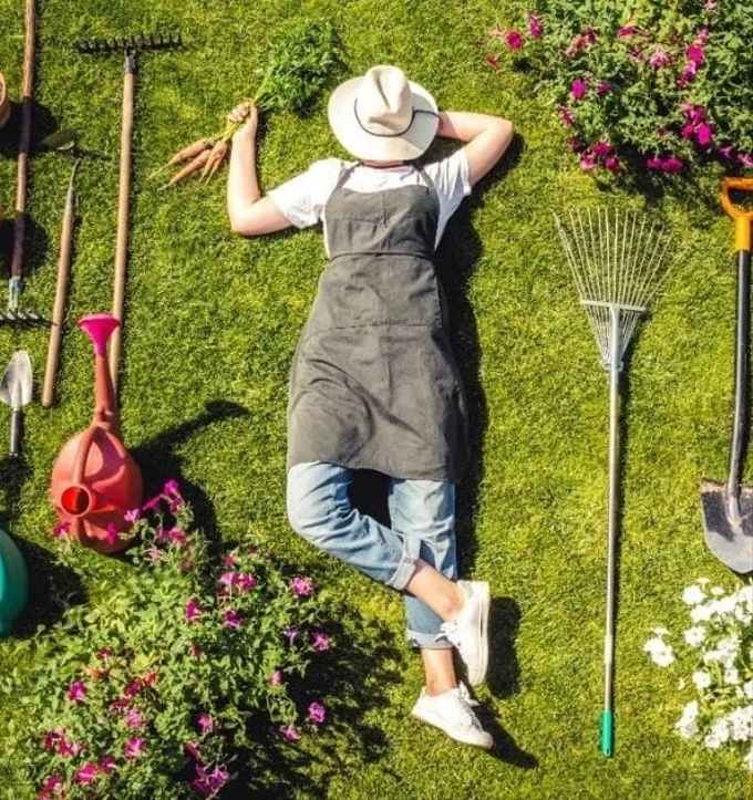 Home & Garden