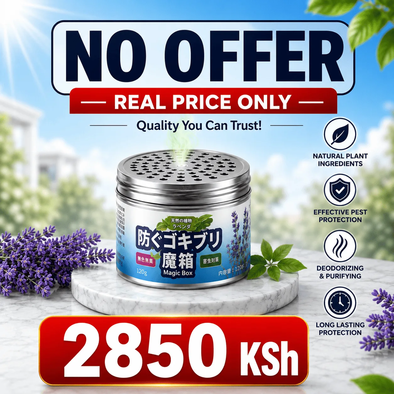 1 Pcs NO OFFER - REAL PRICE ONLY