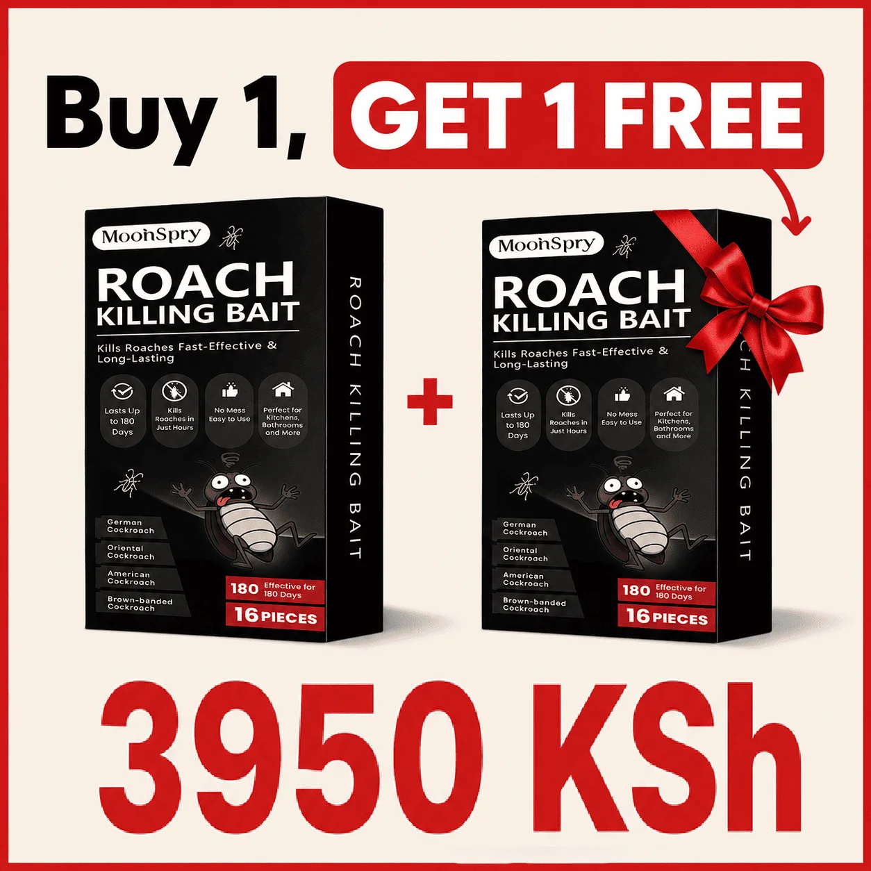 Buy 1 Get 1 FREE