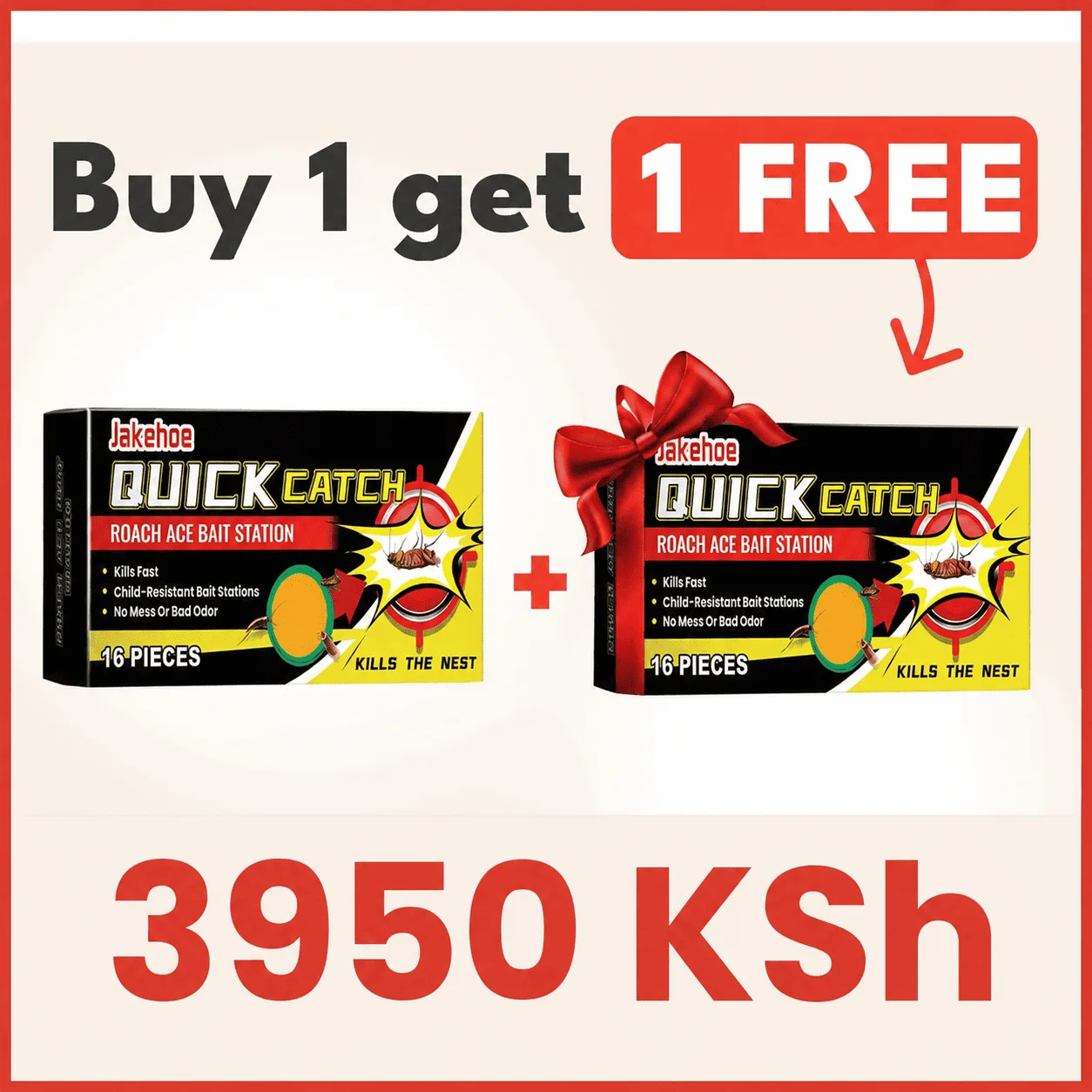 Buy 1 Get 1 FREE