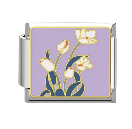 Purple & white Tulip